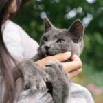 why does my kitten bite my fingers and how to stop it