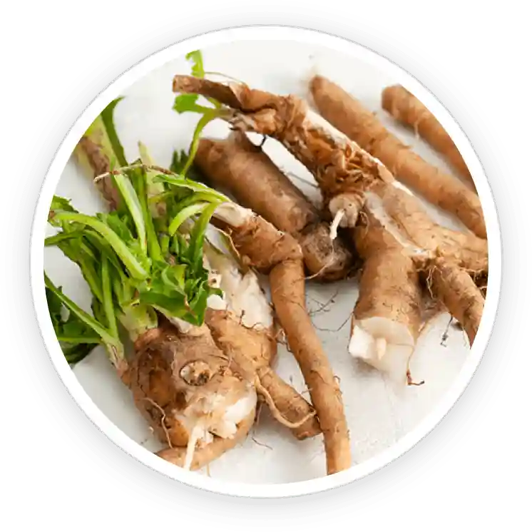 Chicory Root Inulin