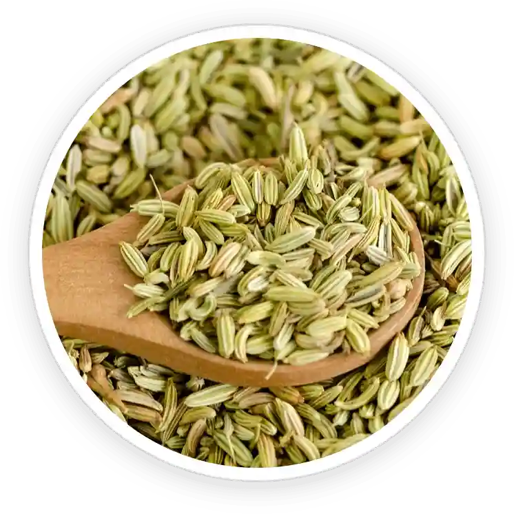 Vivalis Reviews 2026: Complaints, Scam-Check & Safety Guide 15 Fennel Seed extract