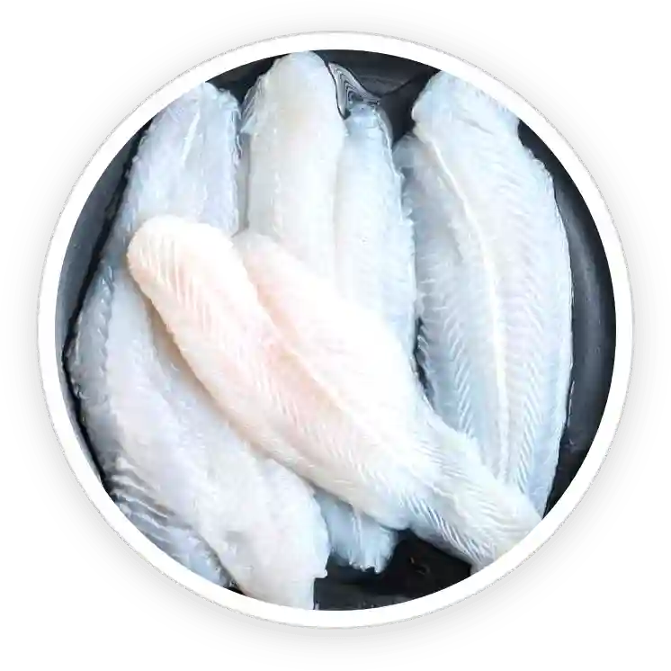Hydrolyzed Fish Cod Collagen