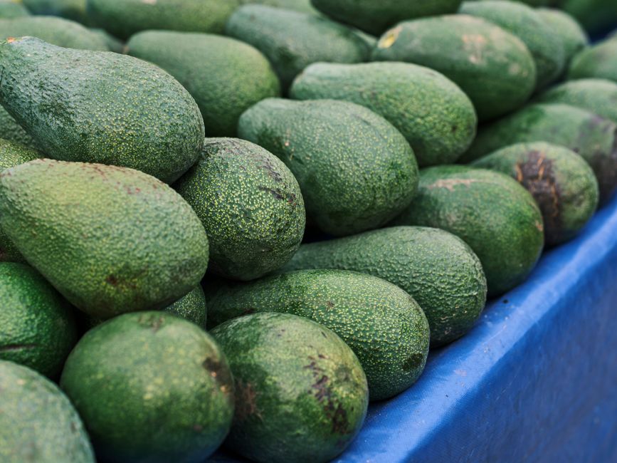are avocado pears fattening