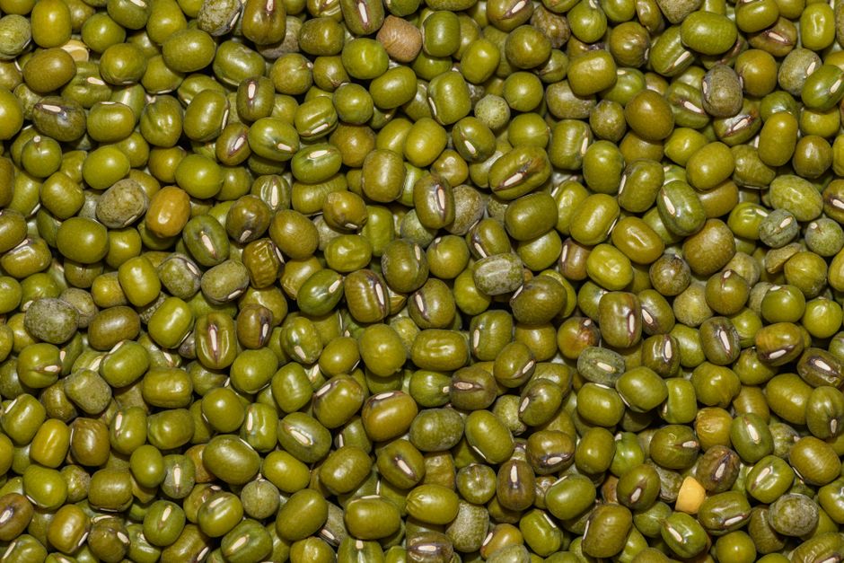 are beans a healthy food