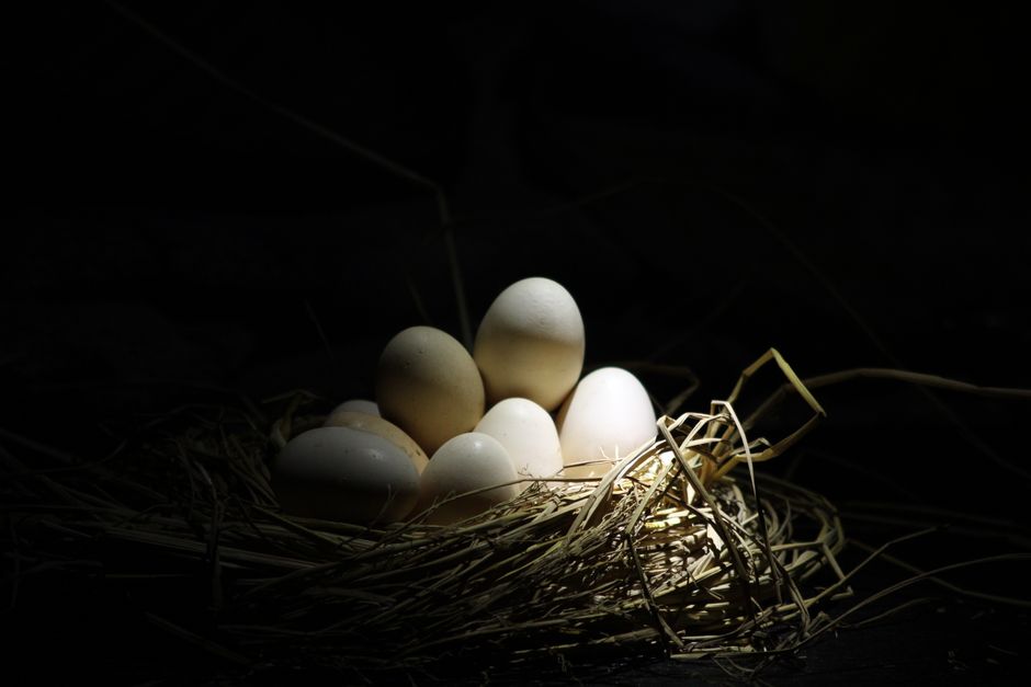 are eggs good for you during pregnancy