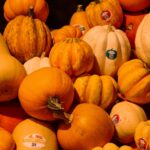are pumpkins a veggie or fruit
