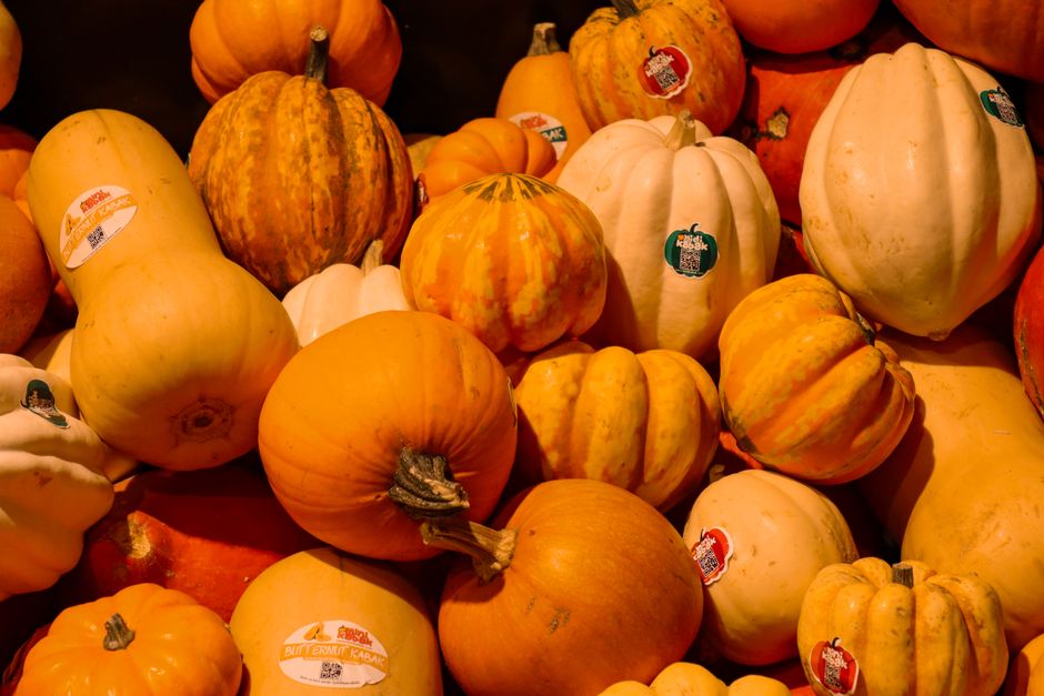 are pumpkins a veggie or fruit