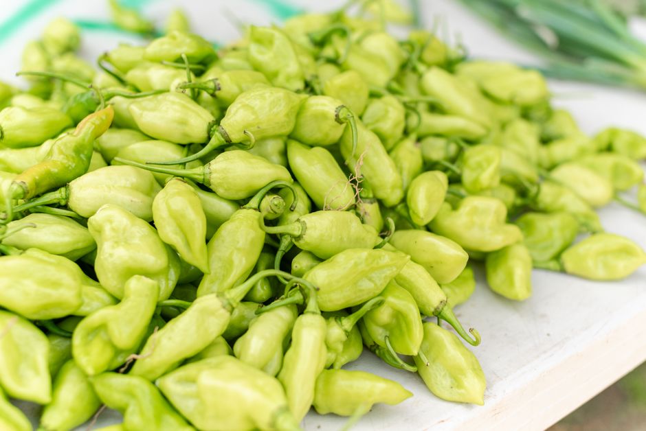 can capsaicin actually burn your skin
