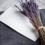 can mold grow on paper causes prevention and removal