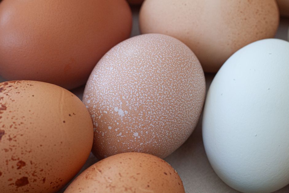 do eggs raise your cholesterol what science says