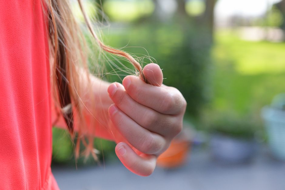 do you have lice