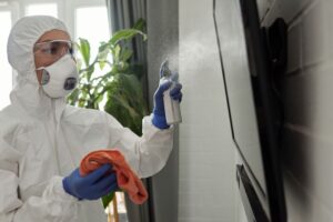 does ammonia kill mold on wood risks and alternatives