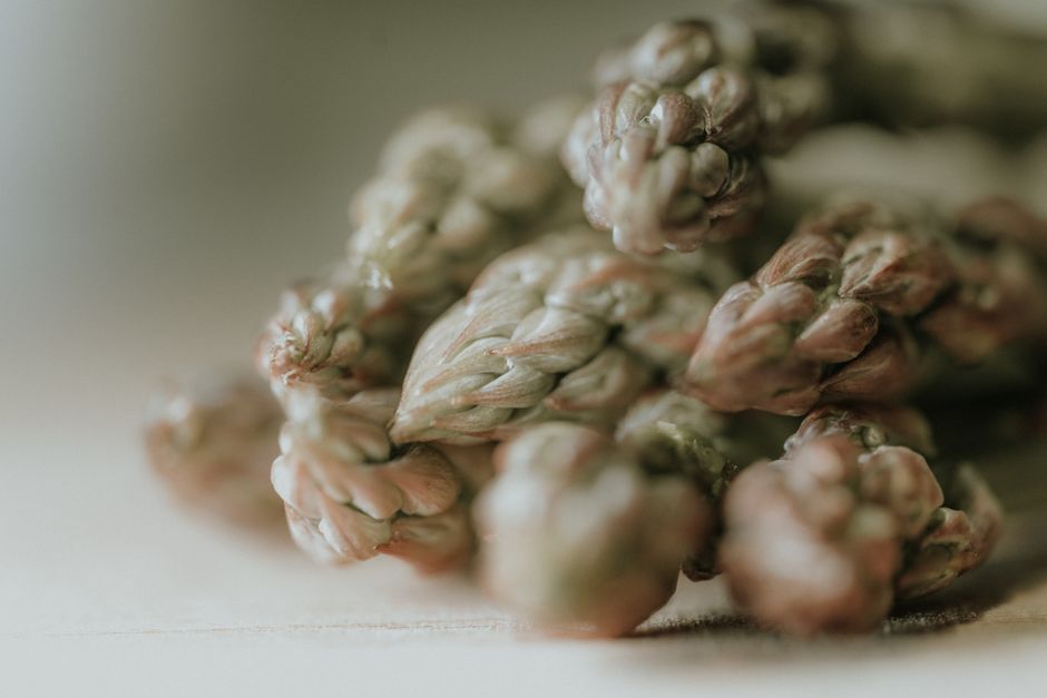 does asparagus have protein