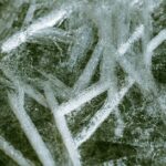 does freezing kill bacteria the science explained