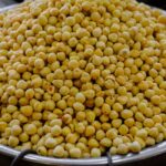 does guggul work for lowering cholesterol
