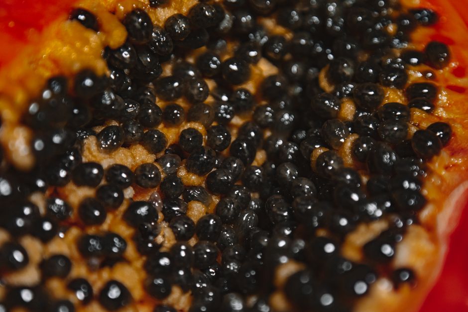eat papaya seeds for weight loss