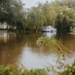 how do floods affect the environment and wildlife