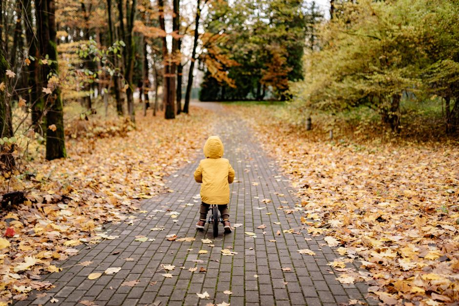 how do i know if my toddler is ok after a fall