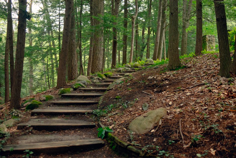 how do you do emdr steps phases and what to expect