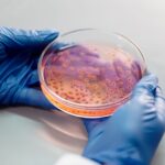 how does duoderm work the science behind the gel