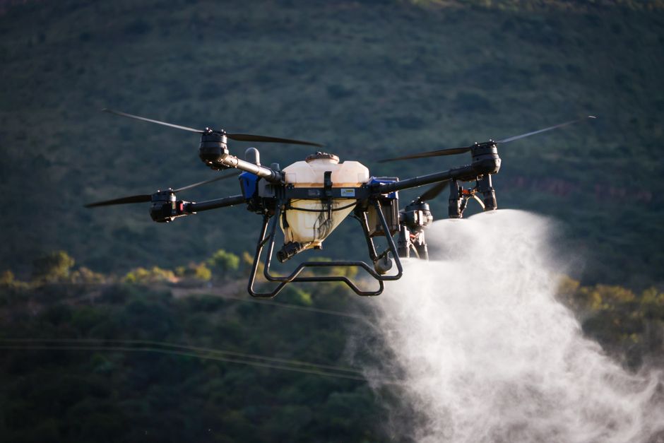 how long after spraying pesticides is it safe for humans