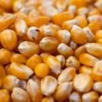 how many carbs on corn on the cob