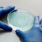 how rb phosphorylation controls the cell cycle