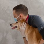 how to check for fleas on humans signs bites
