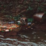 how to clean polluted water methods and techniques