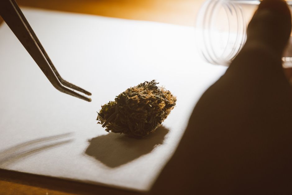 how to get a medical marijuana card in washington state