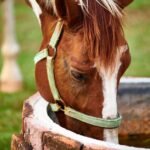 how to get rid of charlie horses