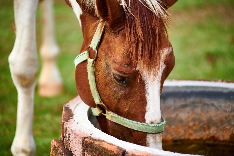 how to get rid of charlie horses