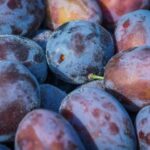 how to juice plums