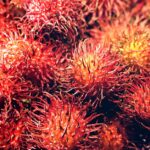 how to keep rambutan fresh fridge freezer more