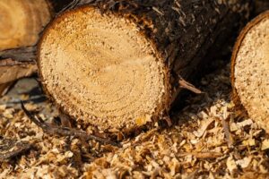 How To Make Wood Pellets From Sawdust Step By Step? 7 how to make wood pellets from sawdust step by step