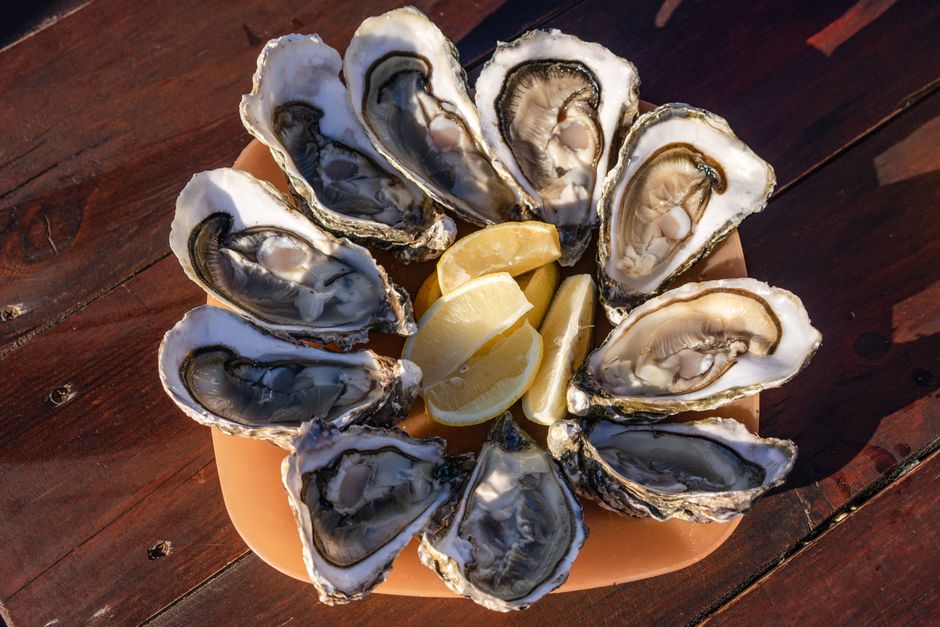 how to purge oysters remove grit before shucking