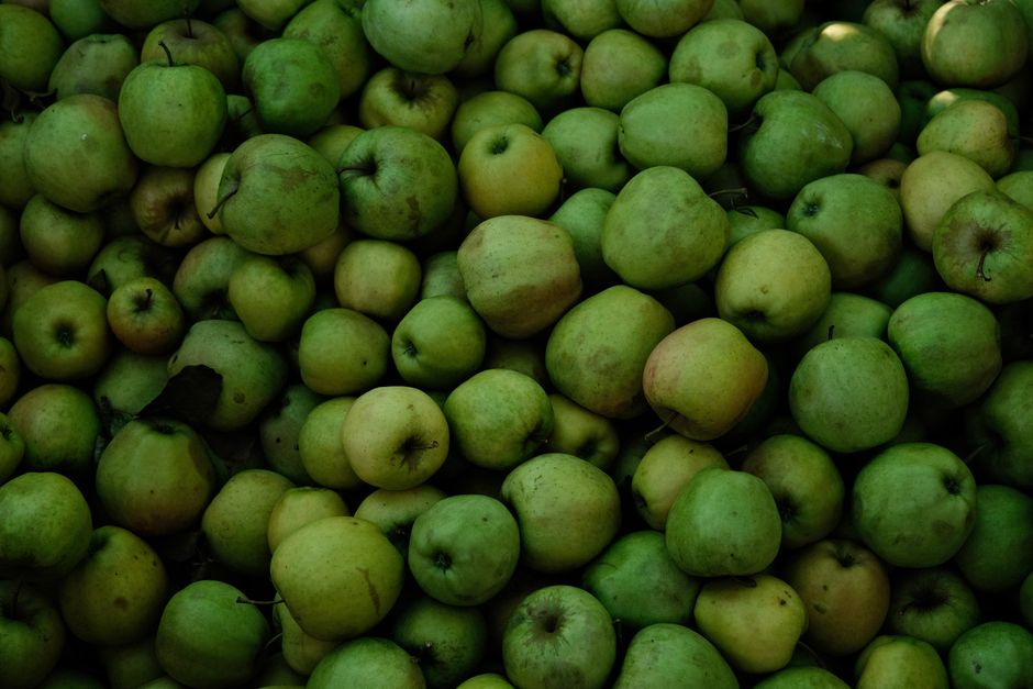 how to ripen apples quickly after picking