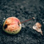 how to stop bed rotting without forcing productivity