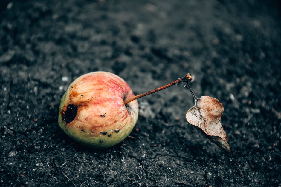 how to stop bed rotting without forcing productivity