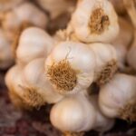 how to store garlic bulbs