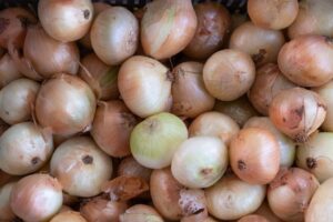 how to store onions from the garden