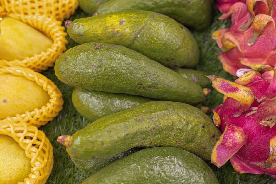 how to tell if a tropical avocado is ripe