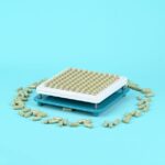 how to use a capsule filling machine step by step