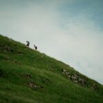 incline walking better than running for fat loss