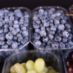 is a grape a berry or a fruit the botanical answer