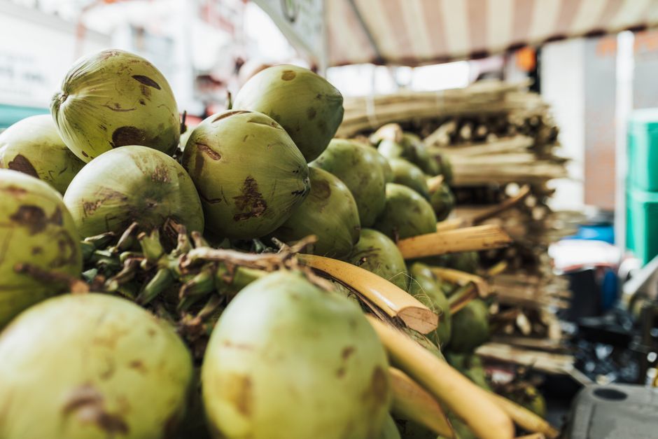 is bai coconut water good for you a nutrition breakdown