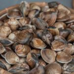 is clam chowder fattening calories fat and weight