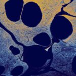 is cytosol the same as cytoplasm
