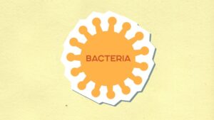 is gonorrhea a virus or bacteria why it matters