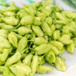is it okay to eat spicy food during pregnancy