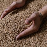 is malt lymphoma curable treatment prognosis