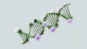 Is Sarcoma Hereditary Genes Syndromes Testing? 2 is sarcoma hereditary genes syndromes testing